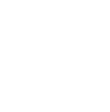 Firmenlogo der Firma Beschriftungswerk Lang. Eule in Schwarz mit Schriftzug Beschriftungswerk Kreisförmig herum.
